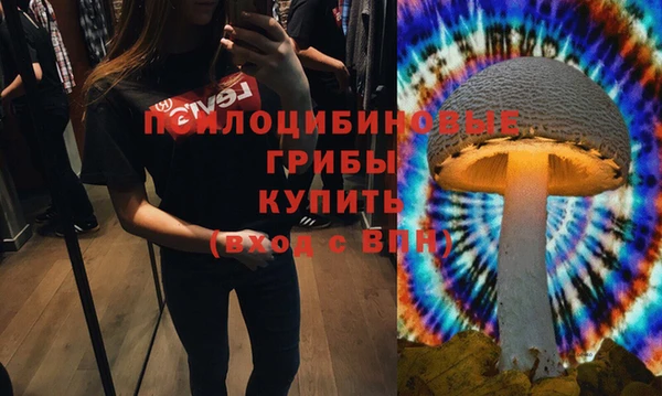 индика Беломорск