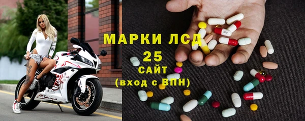 индика Беломорск