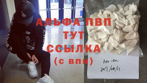 индика Беломорск
