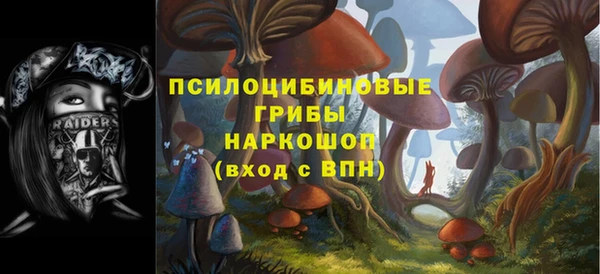 первитин Белокуриха