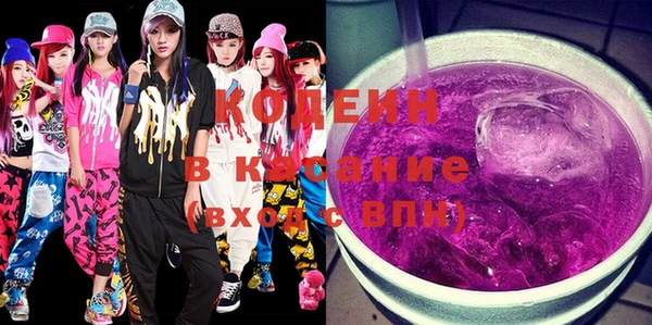 индика Беломорск