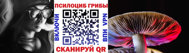 Купить закладки  Лангепас  Псилоцибиновые грибы ЛСД 